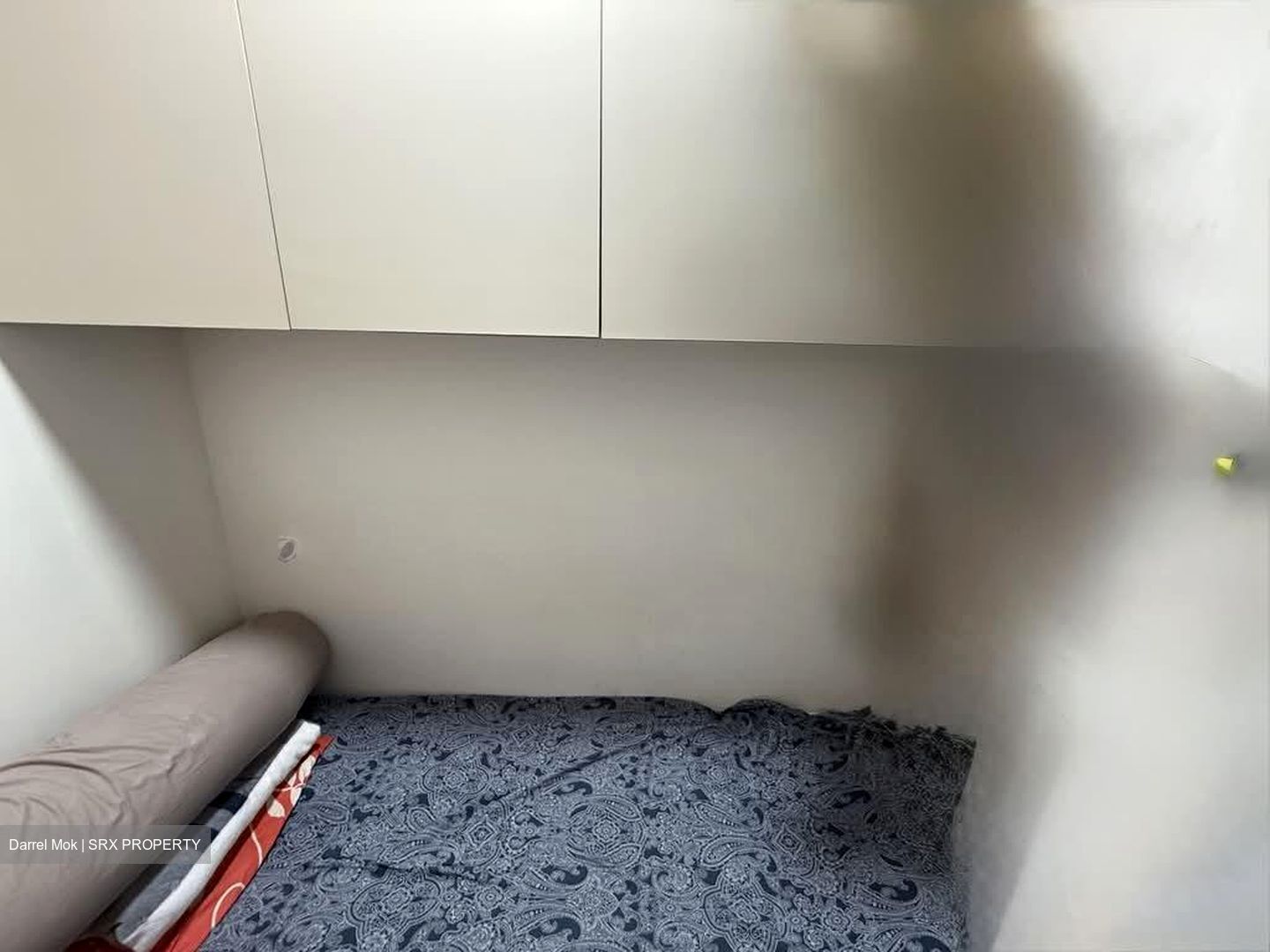 Normanton Park (D5), Apartment #528278221